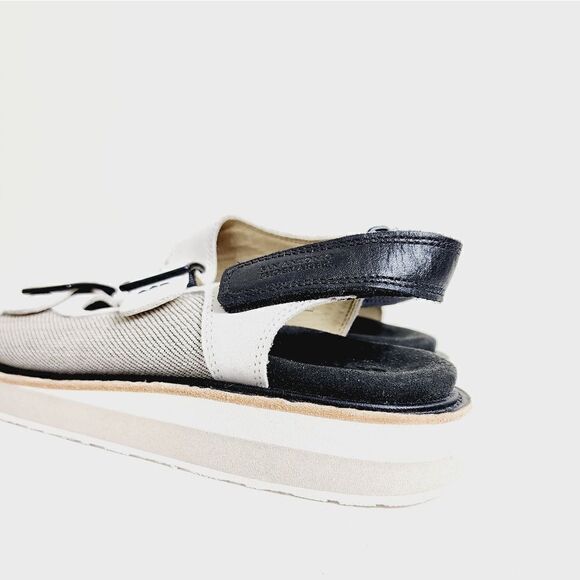 SAS Conga - Picture 9 of 12